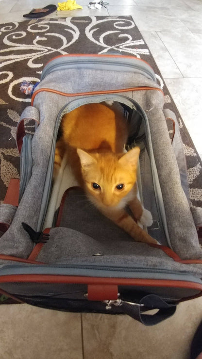 Transportín para mascotas apto para aerolíneas de la serie Gold de Mr. Peanut - Gris platino