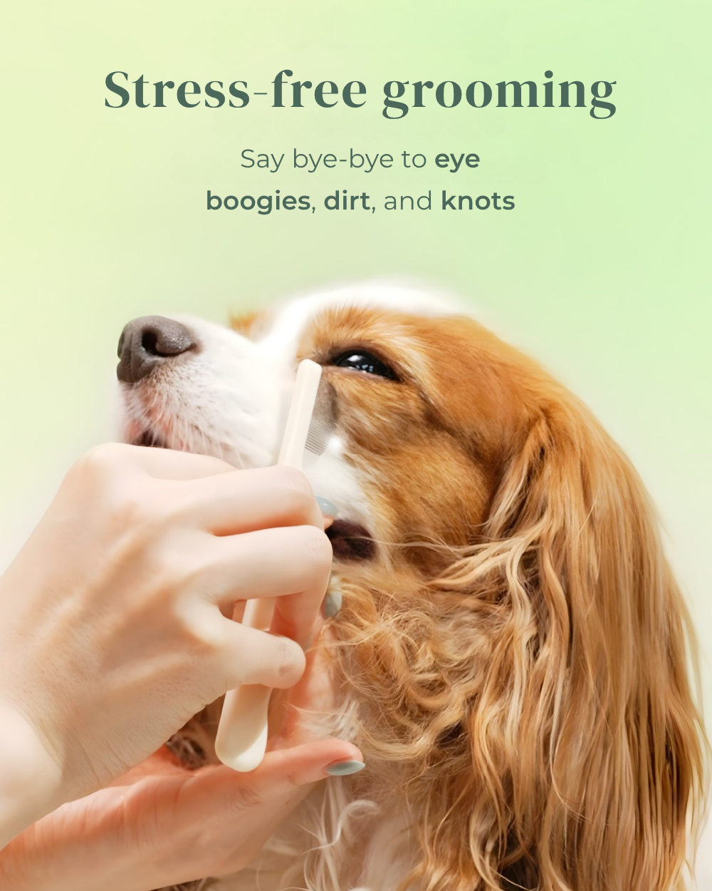 Brush On Me Pet Facial & Eye Comb