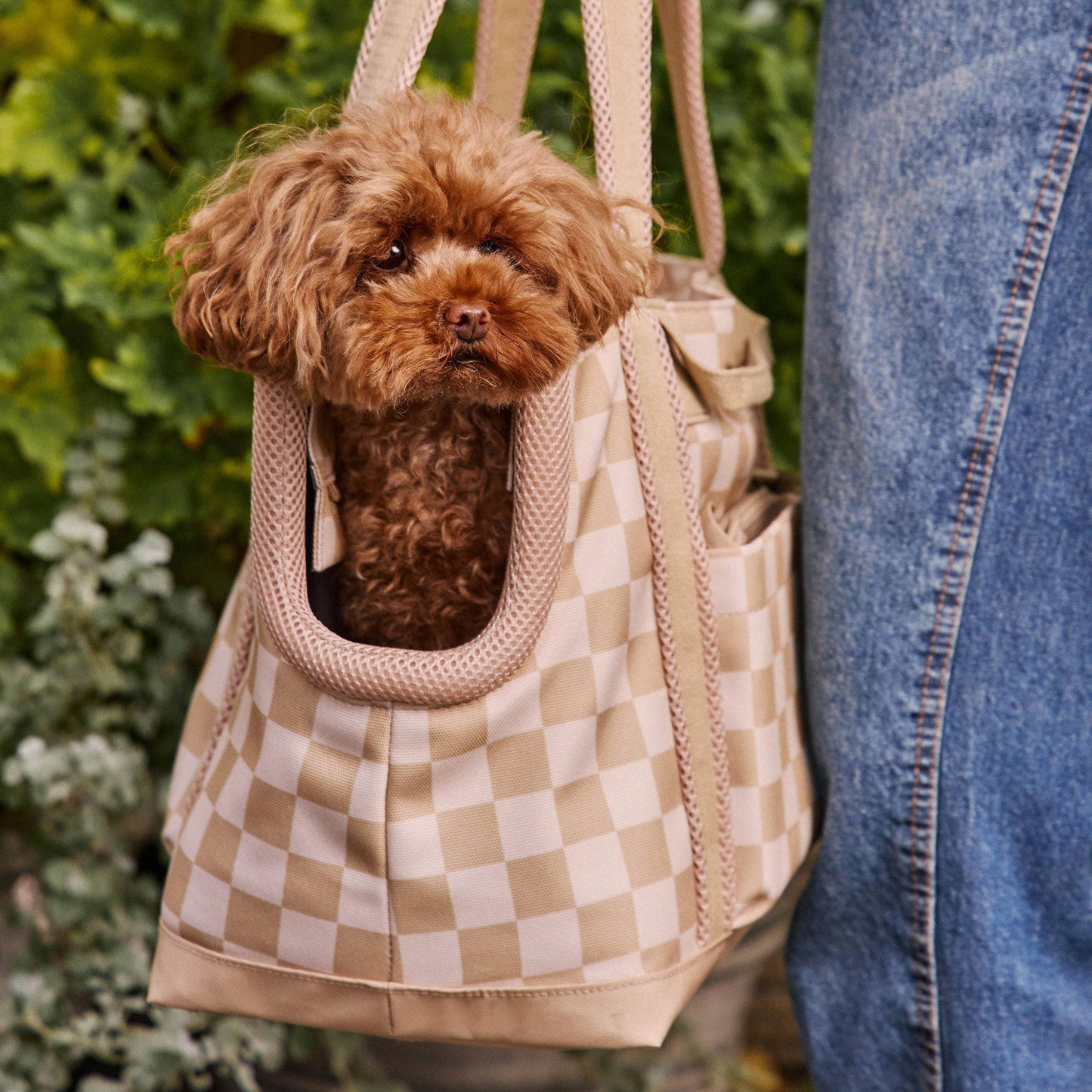 Transit Tote Dog Carrier
