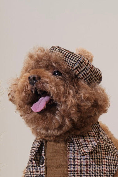 Oxfordshire Dog Beret