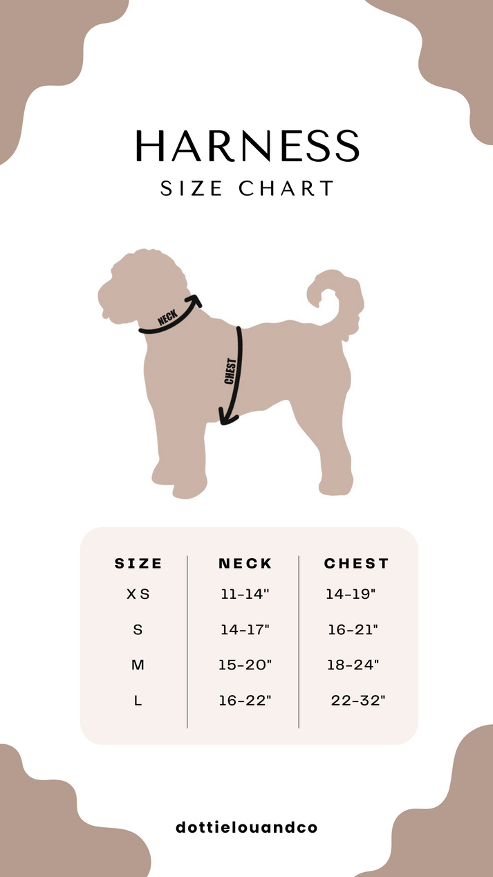Checked Out in Smiles Adjustable Dog Harness