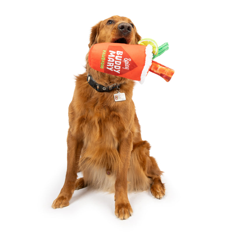 Buddy Mary Power Plush Dog Toy