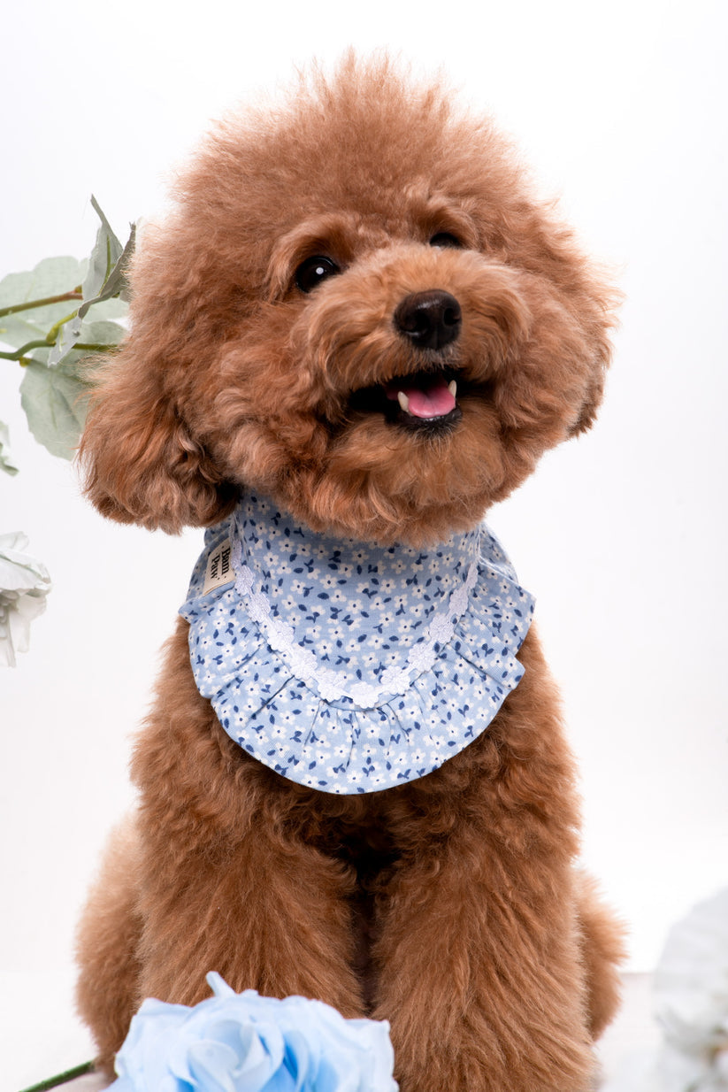Blue Flower Dog Bandana