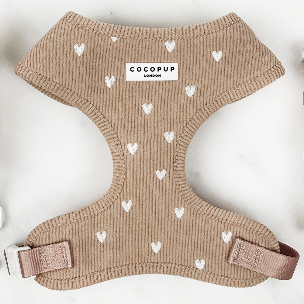 Chai Hearts Adjustable Dog Harness