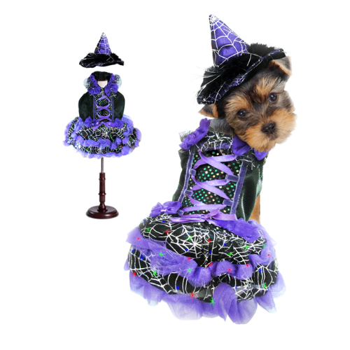 Halloween Purple Witch