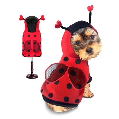 Disfraz de mariquita para perro