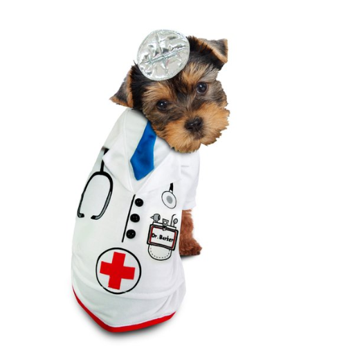 Doctor Barker Dog Costume