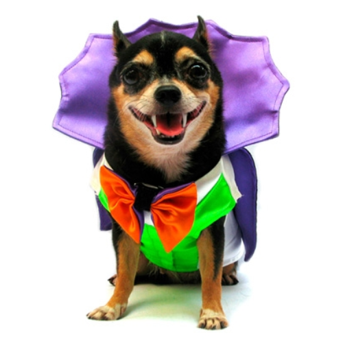 Halloween Dogula Costume