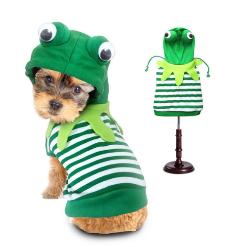 Frog Costume