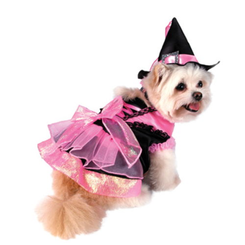 Halloween Shiny Pink Witch
