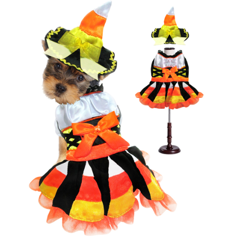 Halloween Candy Corn Witch
