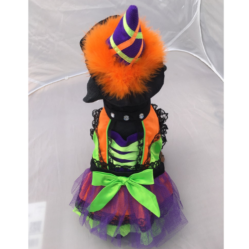 Halloween Neon Orange Witch