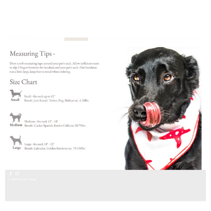 Embroided Birthday Babe Bandana