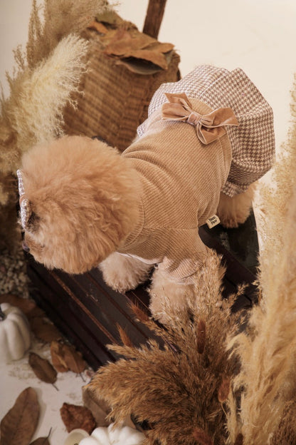 Toffee Sweater Dog Dress