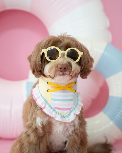 Popsicle Dog Bandana with Ruffle