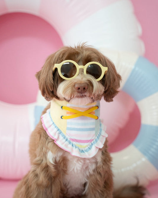 Popsicle Dog Bandana with Ruffle