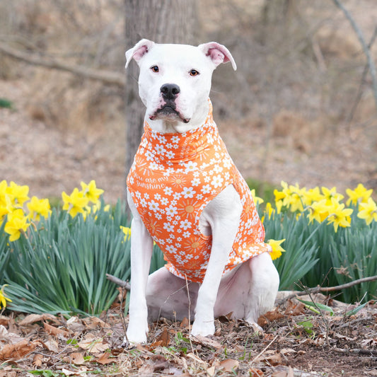 You are my Sunshine Dog Muscle Tee
