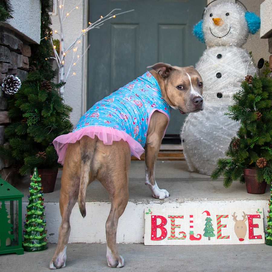 Winter Wonderland Pink Tutu