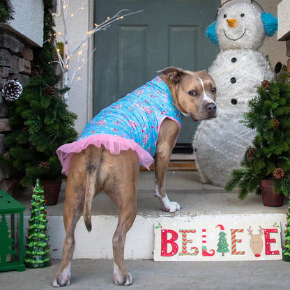 Winter Wonderland Pink Tutu