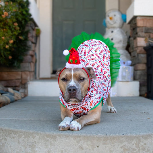 Bakin' Spirits Bright Green Tutu