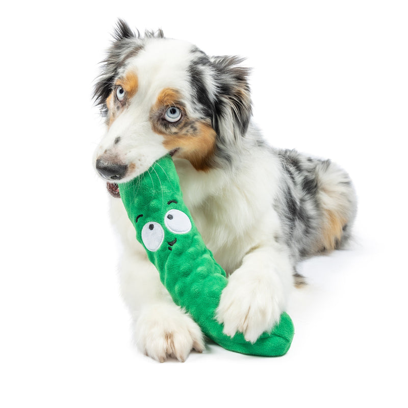 Dell Pickle Power Plush Dog Toy