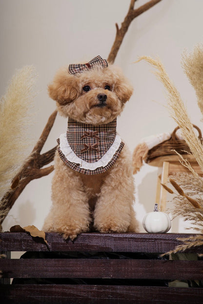 Autumn Ivy Dog Bandana