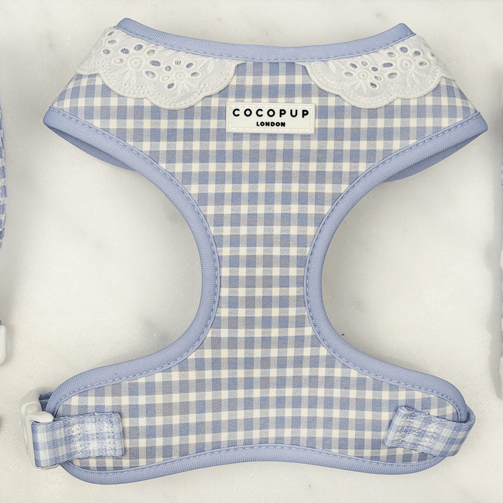 English Blue Adjustable Dog Harness