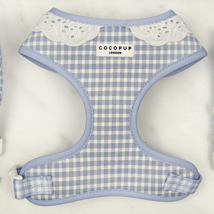 English Blue Adjustable Dog Harness