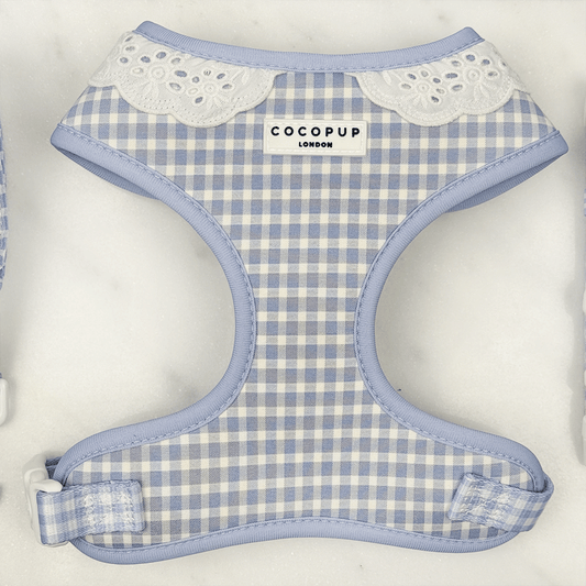 English Blue Adjustable Dog Harness