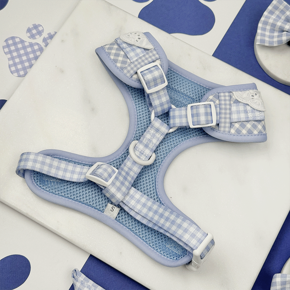 English Blue Adjustable Dog Harness