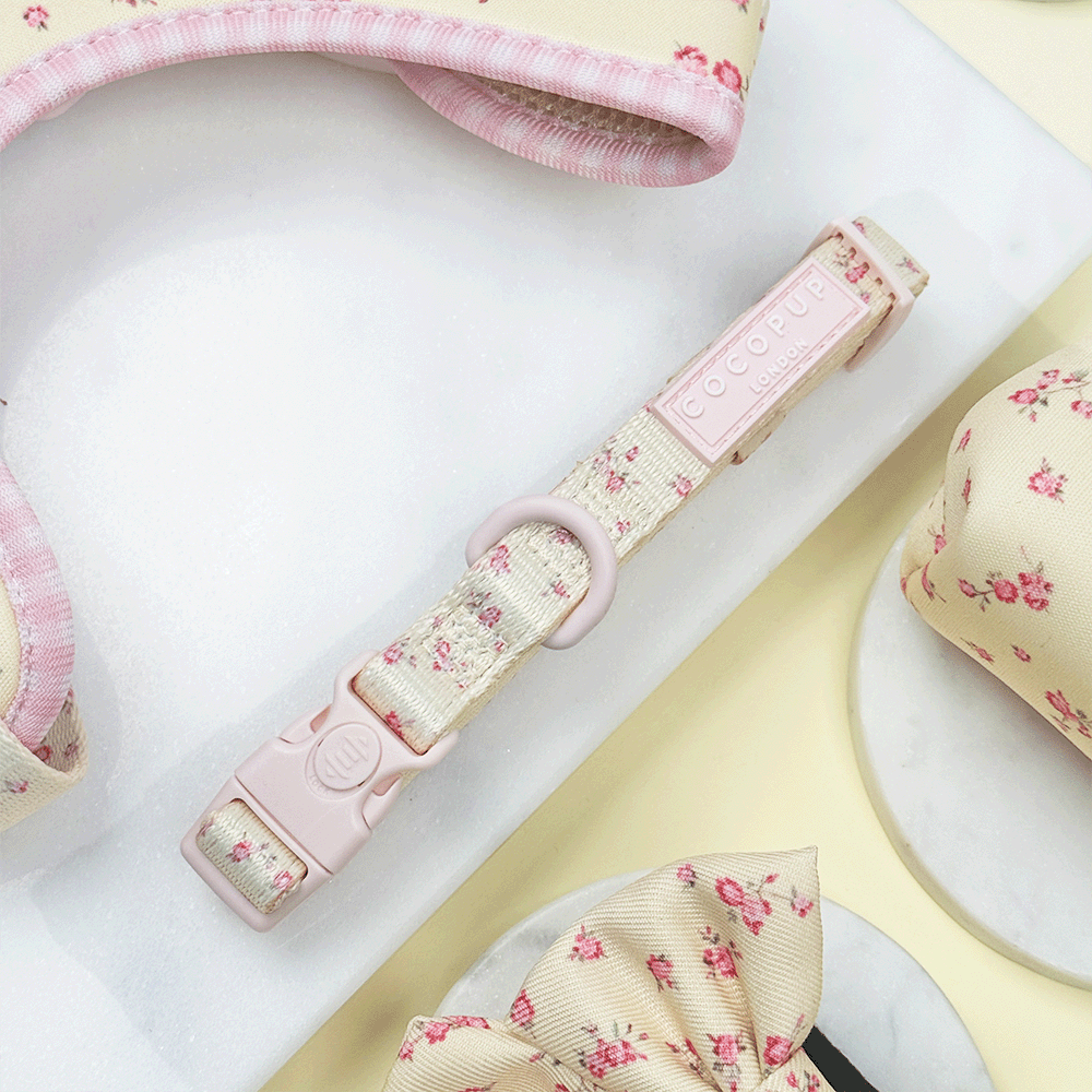 English Rose Dog Collar
