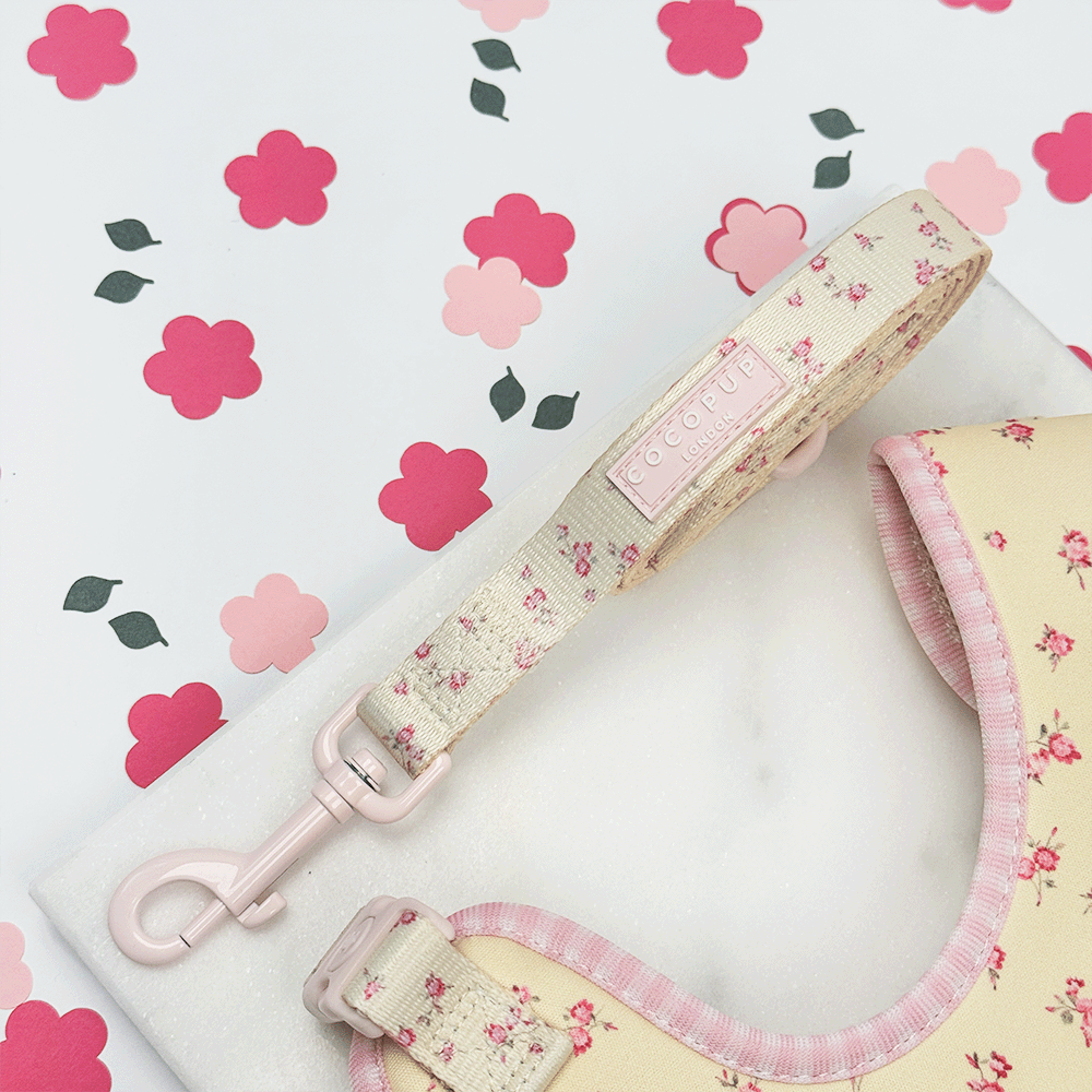 English Rose Dog Leash