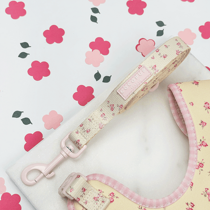 English Rose Dog Leash