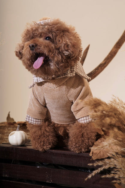 Toffee Sweater Dog Shirt