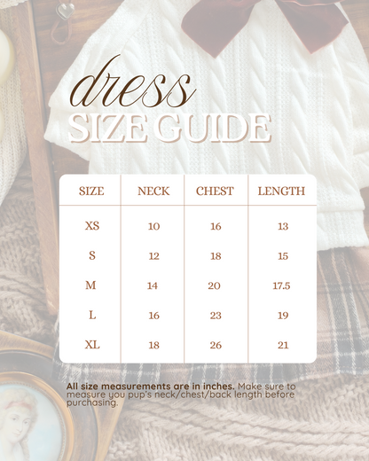 Sweater Weather Fall Dog Dress