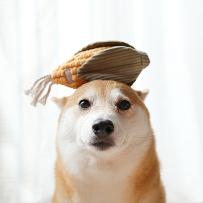 Corn Enrichment Dog Toy