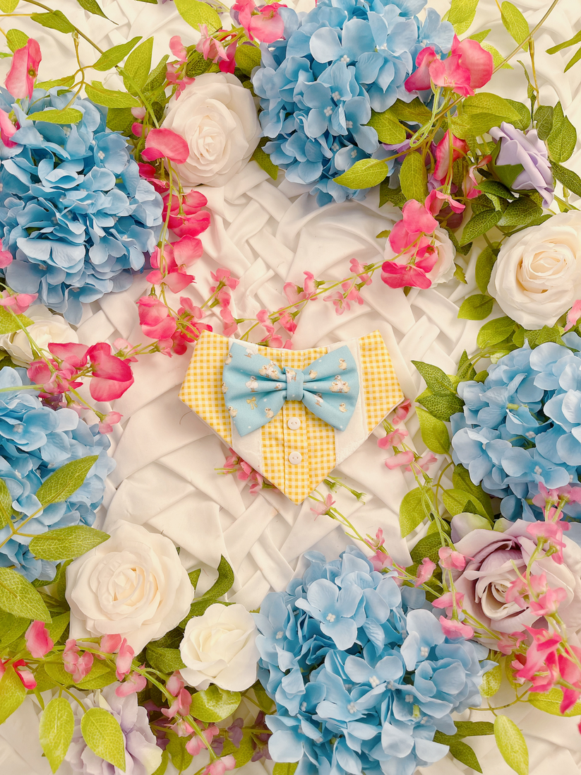 Spring Yellow Duck Bow Dog Bandana