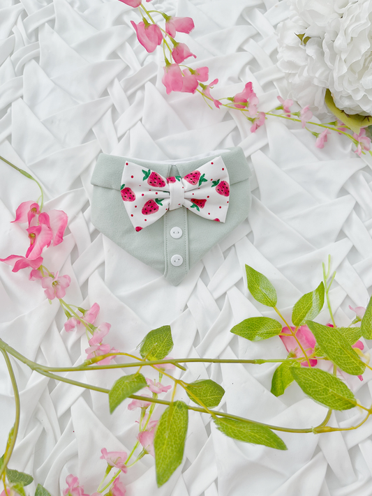 Strawberry Bliss Bow Boy Dog Bandana