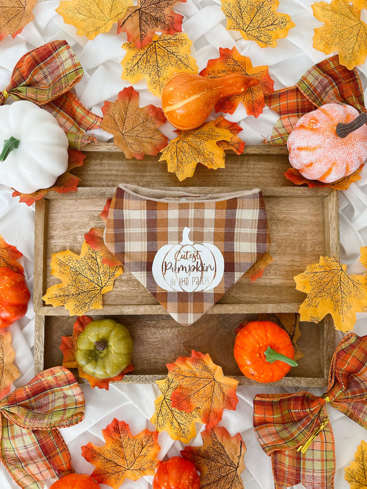 Cutest Pumpkin Reversible Dog Bandana
