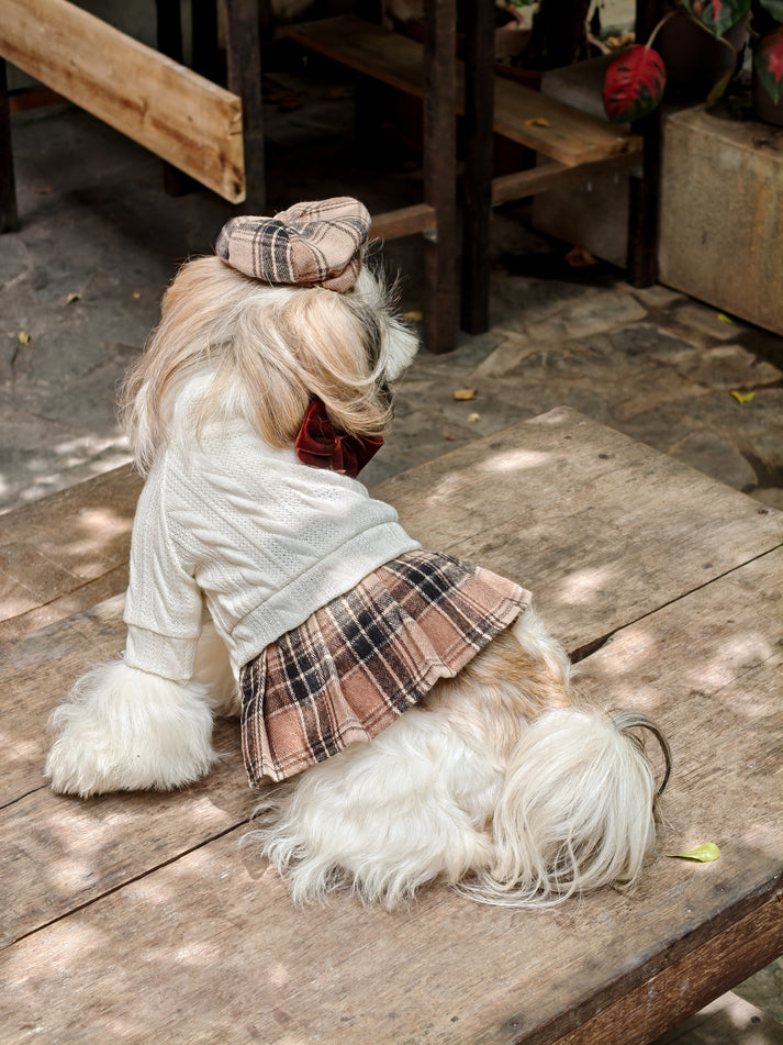 Sweater Weather Fall Dog Dress