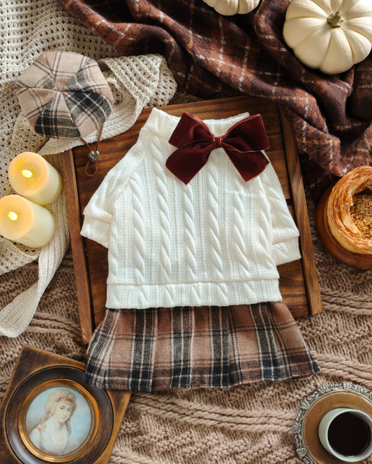 Sweater Weather Fall Dog Dress