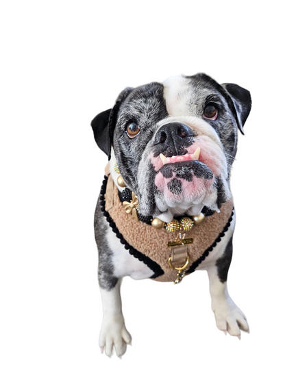 The Icons Dog Harness - Assorted Styles