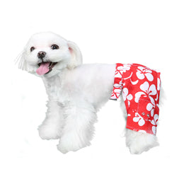 Dog Swim Trunk - Assorted Styles