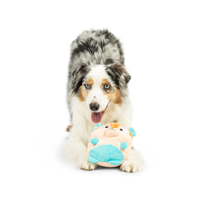 Pudgies Nutty Buddy Plush Dog Toy