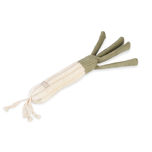 Leek Enrichment Dog Toy