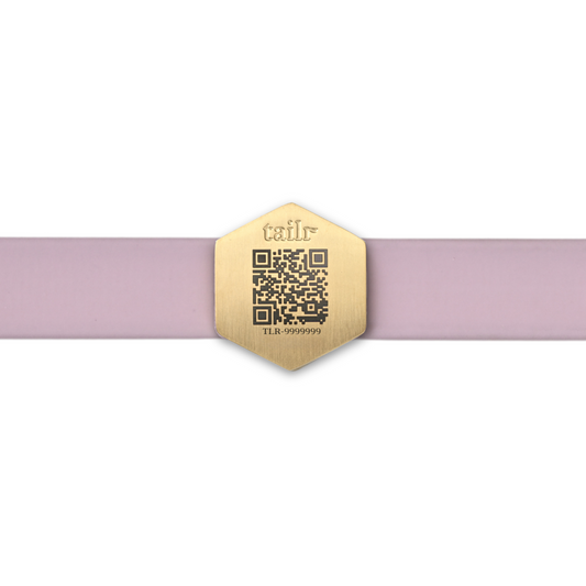 Tailr Slide Tag