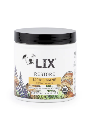 Lion's Mane Extract Powder