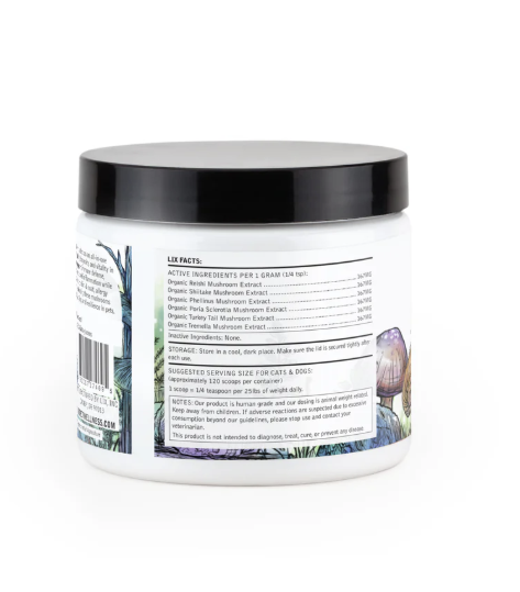 Organic Six Mushroom Extract Powder