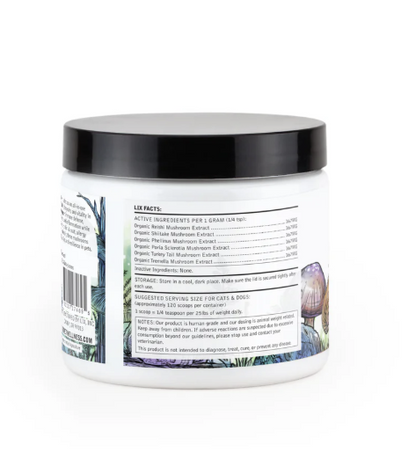 Organic Six Mushroom Extract Powder