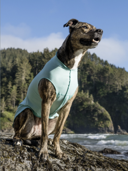 Sun Shield UPF Dog Tee - Assorted Styles